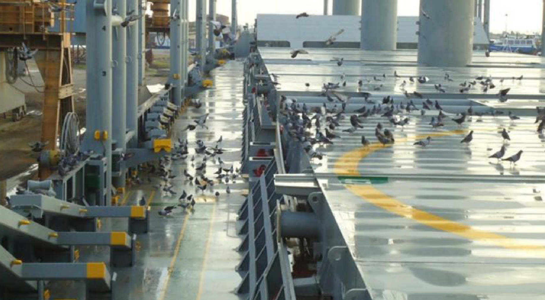 昌华劳务海员招工啦！